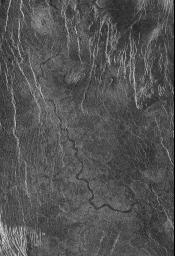 PIA00253: Venus - Sinuous Channel