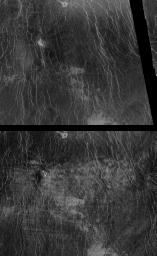 PIA00260: Venus - Comparison of Left and Right Looking Views of Imdr Region