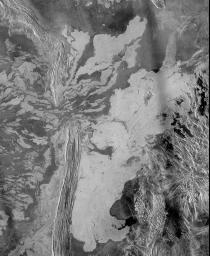 PIA00486: Venus - System of Lava Flows and Ridge Belt