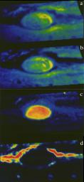 PIA00501: NIMS Spectral Maps of Jupiter's Great Red Spot