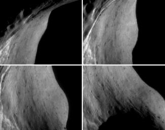 PIA03115: Tracking a Feature on Eros