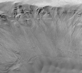 PIA03916: Gullies in a Crater Wall in Newton Basin: