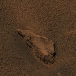 PIA05911: A Lion of a Stone