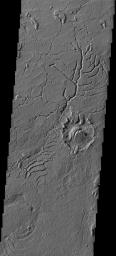 PIA09043: Arcuate Fractures