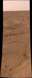 PIA10690: Phoenix Opens its Eyes