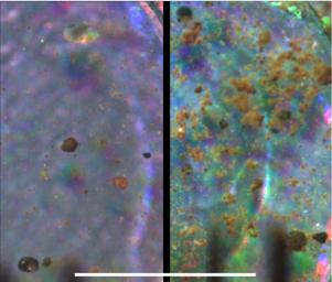 PIA10796: Microscopic Comparison of Airfall Dust to Martian Soil