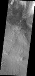 PIA11342: Dunes and Debris