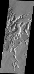 PIA13499: Arsia Chasmata