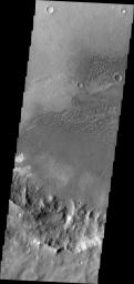 PIA13702: Terra Cimmeria Dunes