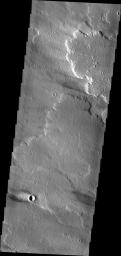 PIA13846: Windstreak on Daedalia Planum