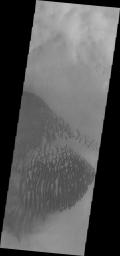 PIA14140: Lamont Crater Dunes