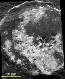 PIA14844: Have a Gander at Sander