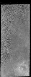 PIA18506: Aspledon Undae