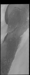 PIA18672: Polar Dunes