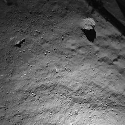 PIA18878: Comet from 40 Meters