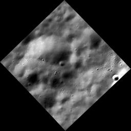 PIA19206: Punctuated Equilibrium