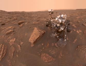 PIA22486: Curiosity's Dusty Selfie