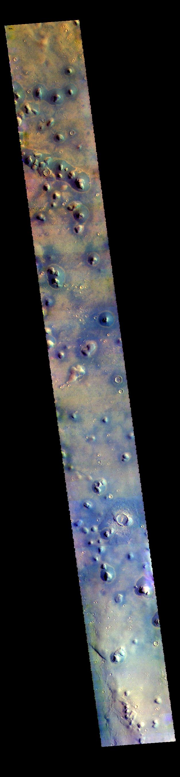 PIA22791: Arcadia Planitia - False Color