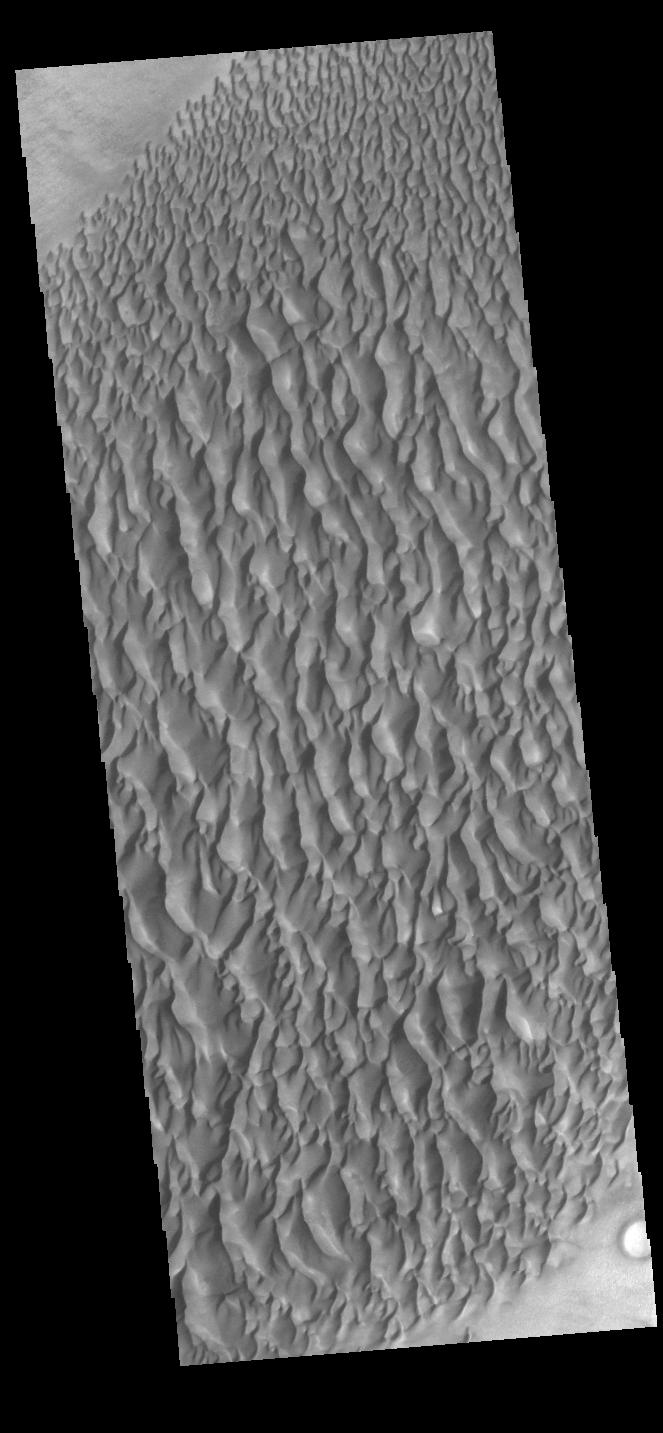 PIA24276: Proctor Crater Dunes