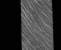 PIA00085: Venus - Lineated Plains in Lakshmi Region