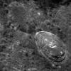 PIA14218: Bek's Close Up