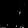 PIA15402: Islands in the Darkness