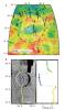 PIA15531: Tilted Craters in Caloris