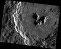 PIA16432: Delightful de Graft