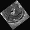 PIA17226: Come Closer, Cunningham