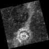 PIA17372: De Graft's Drama