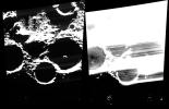 PIA18939: On the Cutting Edge