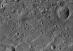 PIA19526: Oppia AV-L-22